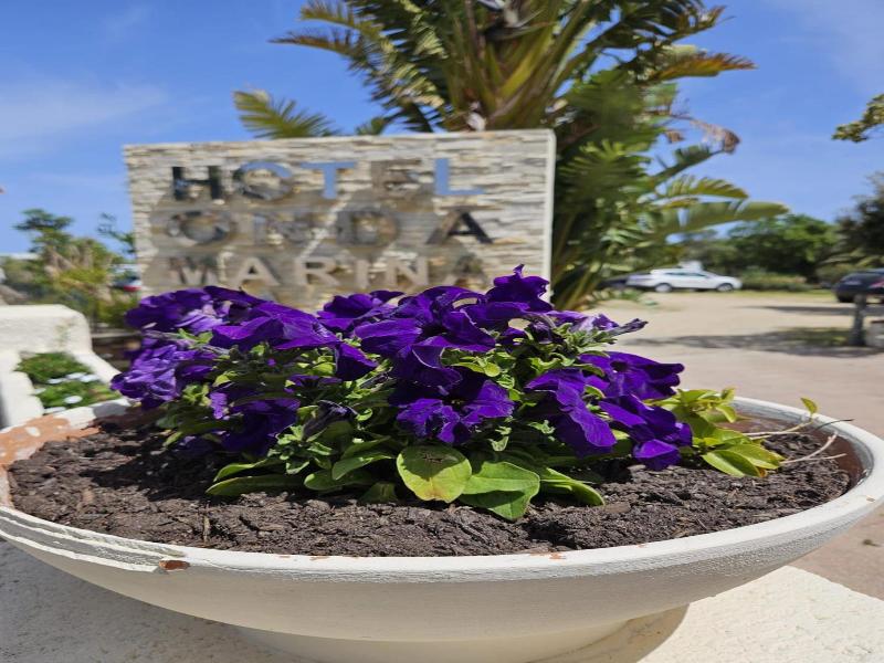 Hotel Onda Marina image