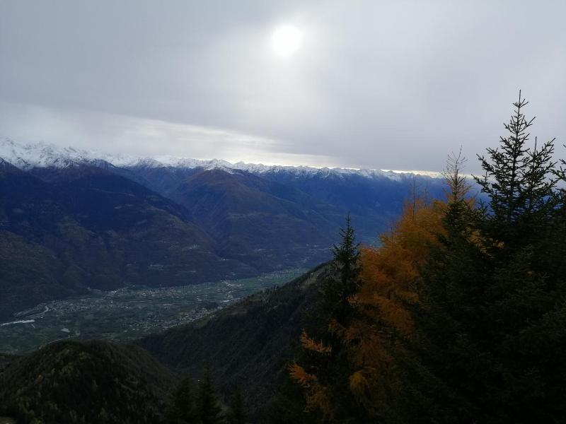 Hotel Albrici image