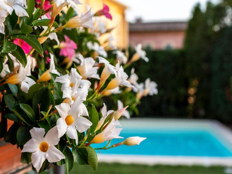 Albergo Ristorante Il Terziere image