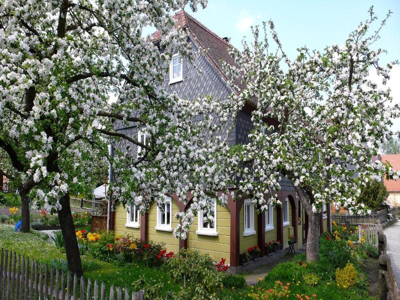 Hotel Oybiner Hof image