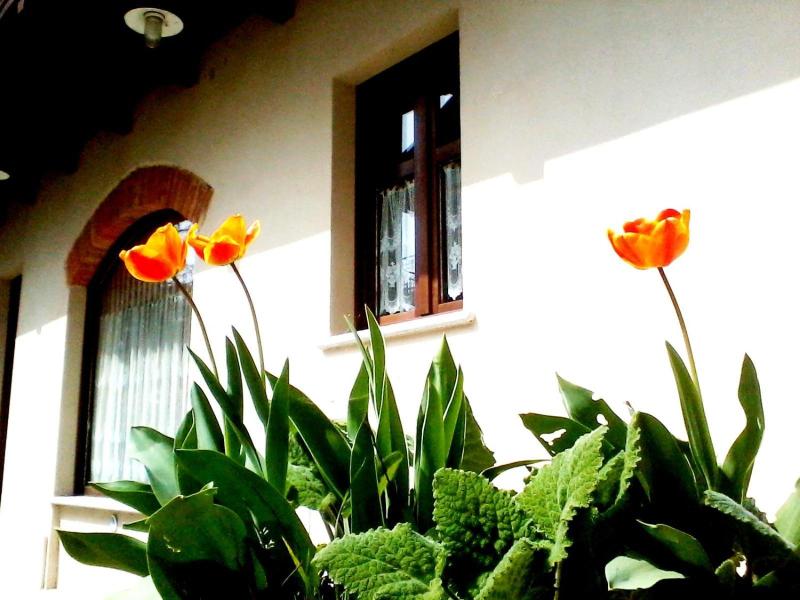 Cascina Creusa B&b image
