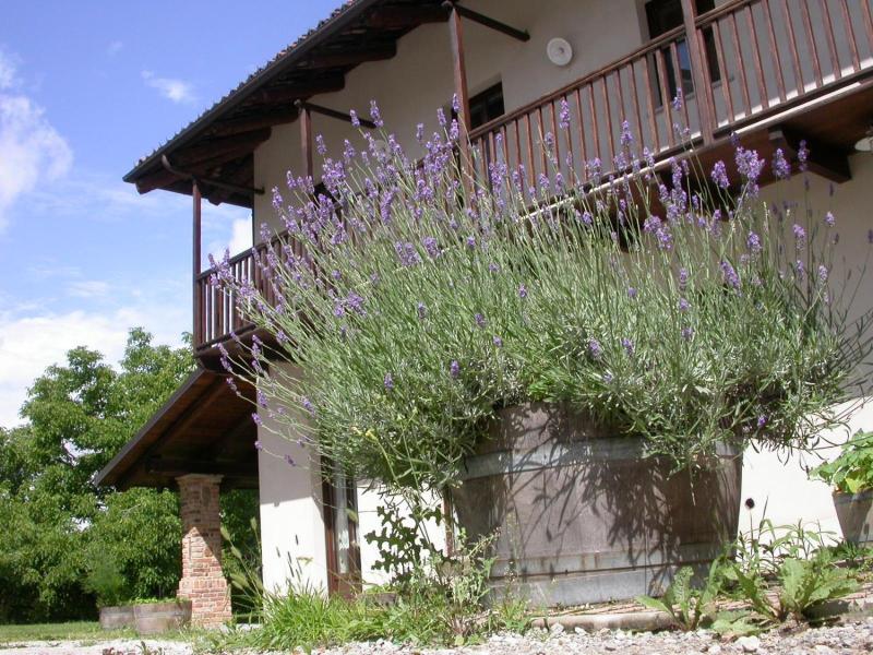 Cascina Creusa B&b image