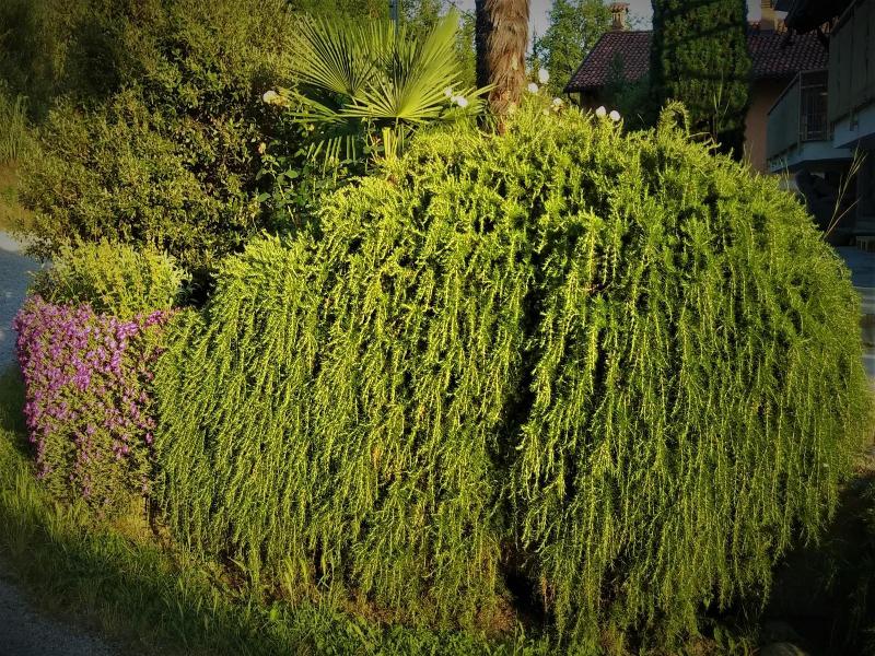 Cascina Creusa B&b image