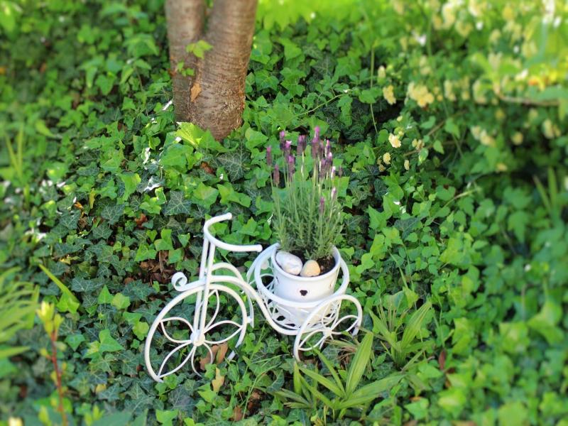Gartenresidence Stephanie By Hotel Rotwand image