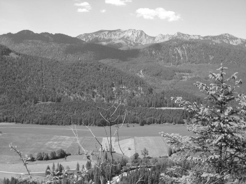 Landhotel Zum Staffelwirt image