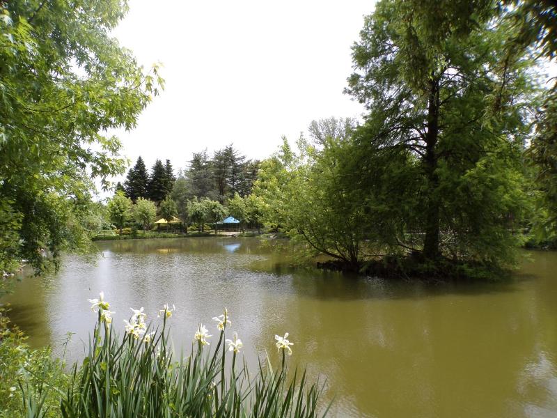 Terme Di Monte Valenza image