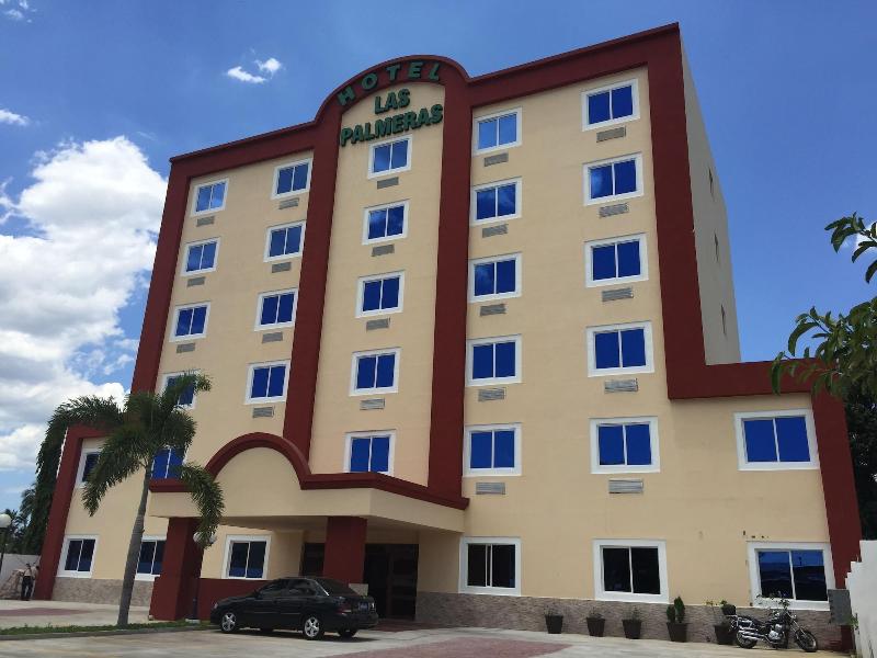 Hotel Las Palmeras image