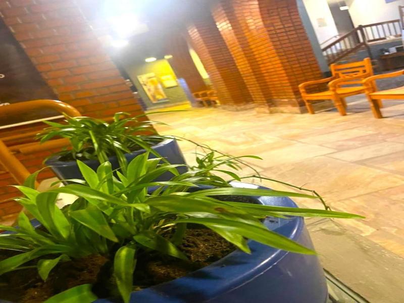 Hotel Verdes Mares