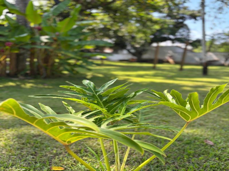 Pousada Recanto Itaguá