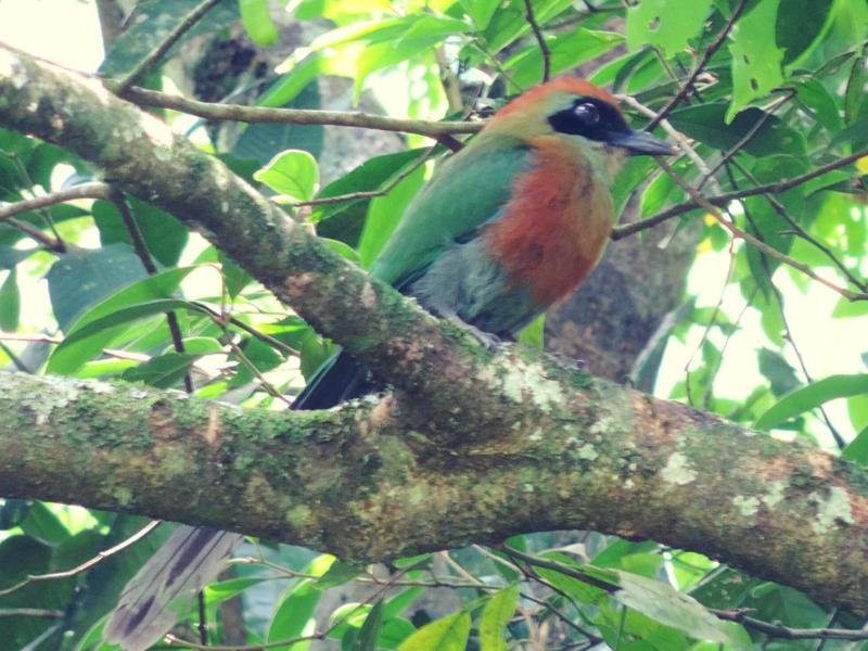 Pousada Bocaina image