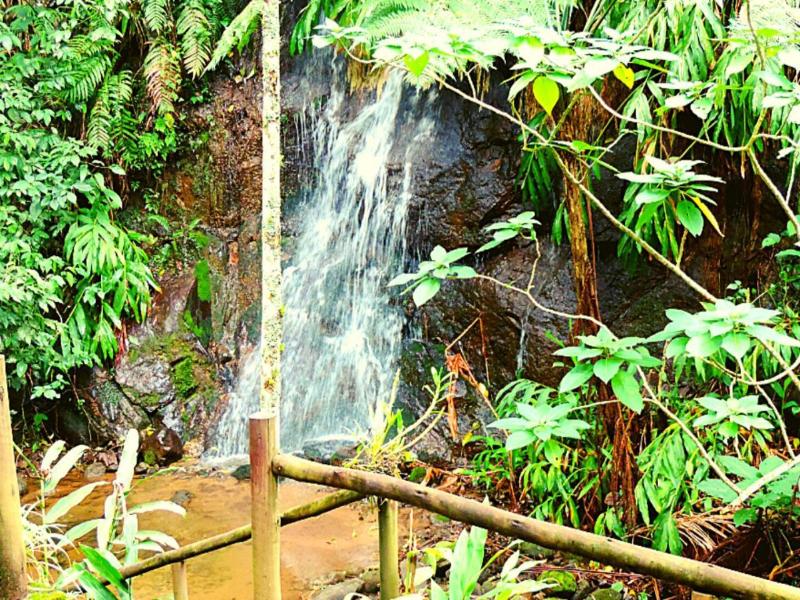 Pousada Bocaina image