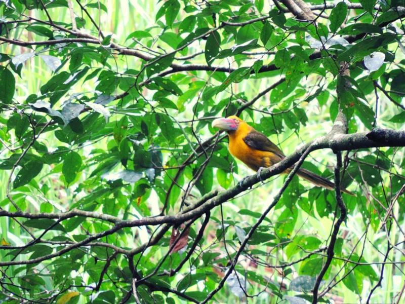Pousada Bocaina image