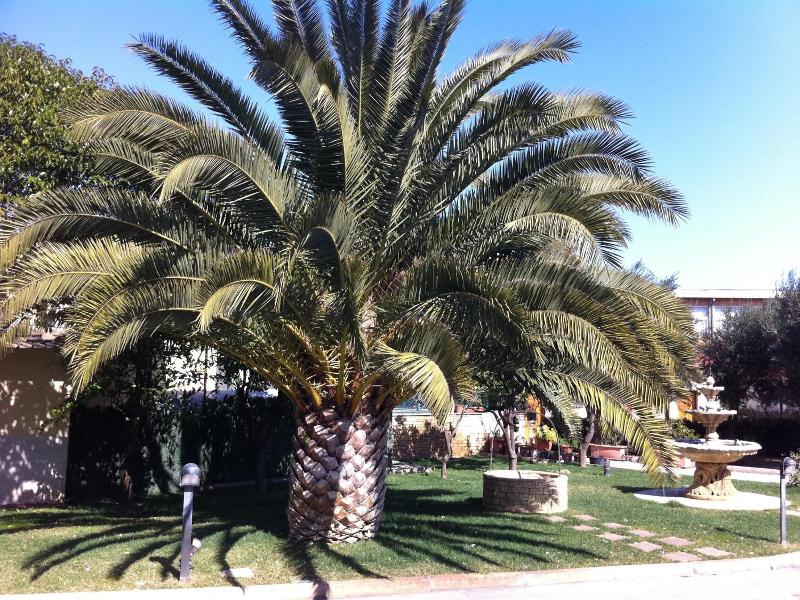 Hotel Giardino image