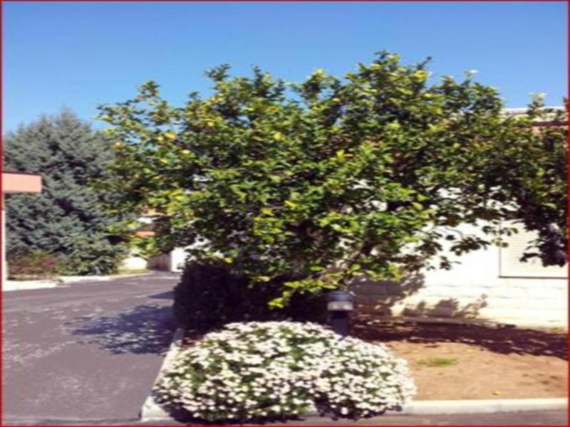 Hotel Giardino image
