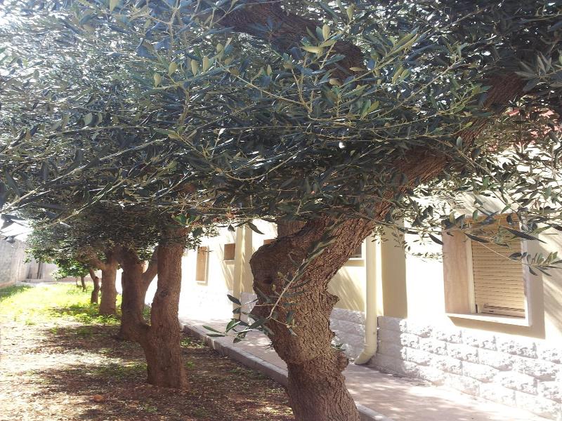 Hotel Giardino image