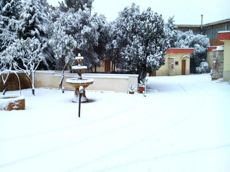 Hotel Giardino image