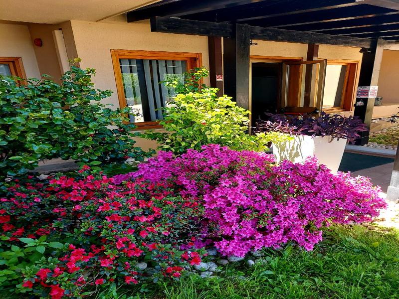 Montebello Park Hotel image