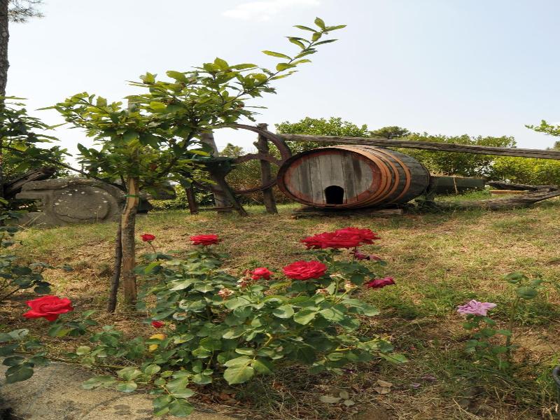 Hotel Archimede image