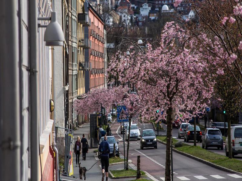 Kampen Hotell image