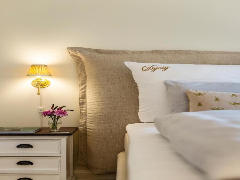 Dyvig Badehotel image
