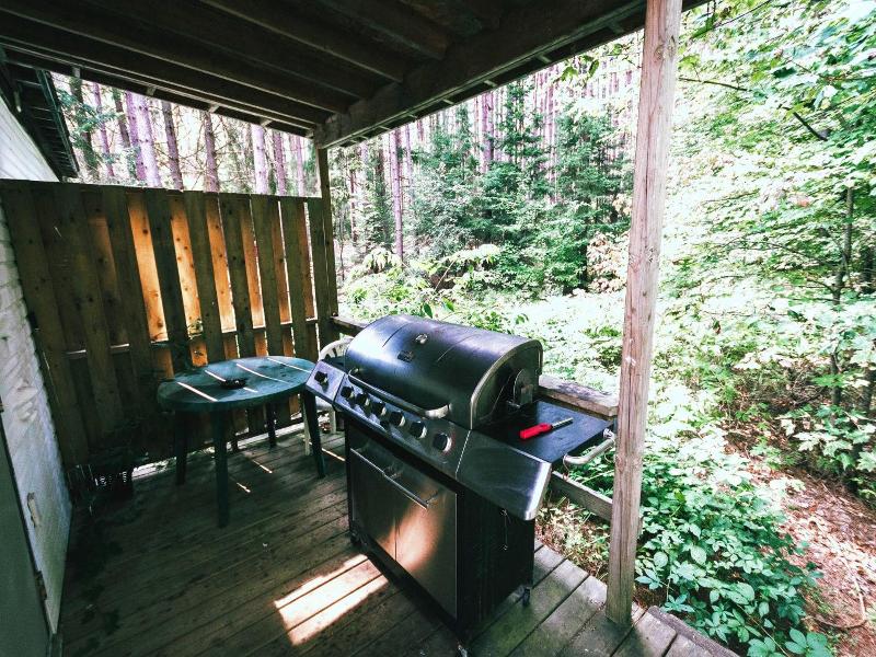 "high Falls Bay Cottages, Camping & Waterpark" image