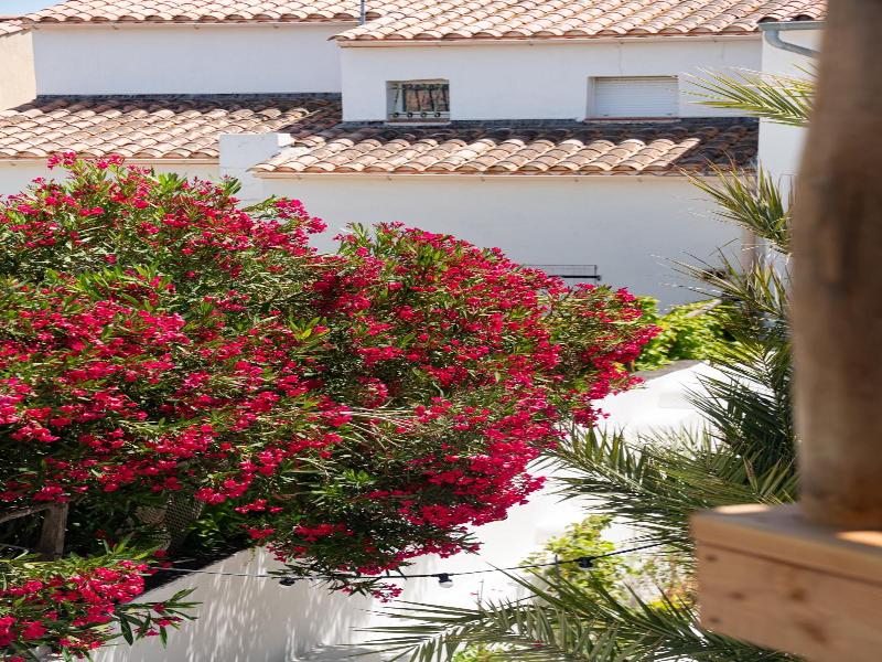 Hôtel Casa Marina image