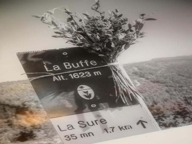 Hôtel Restaurant La Buffe image