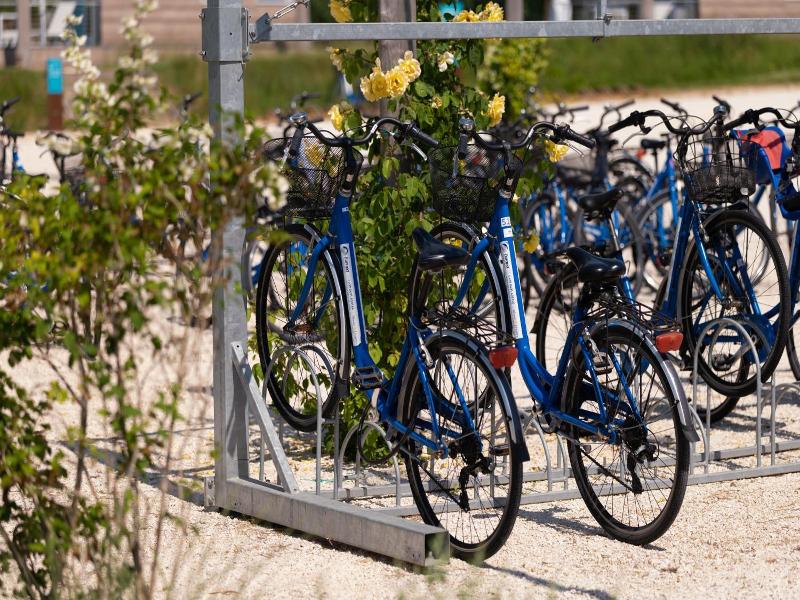 Marina Azzurra Resort image