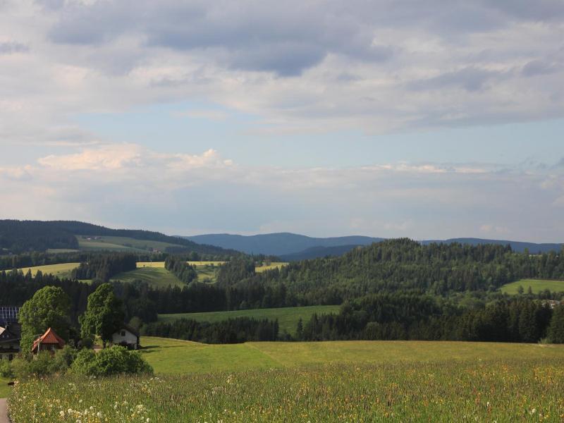 Ferienwohnungen Rebstock image
