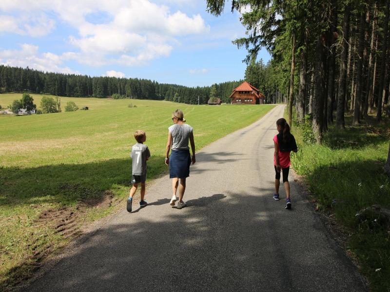 Ferienwohnungen Rebstock image