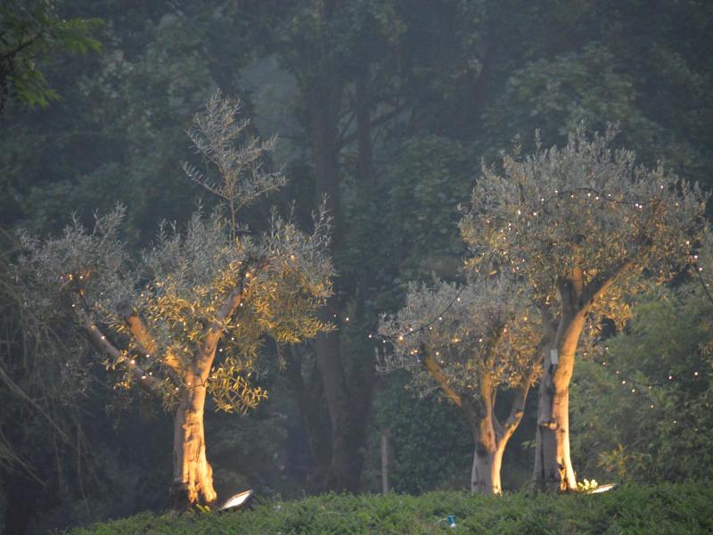 Haras Des Chartreux image