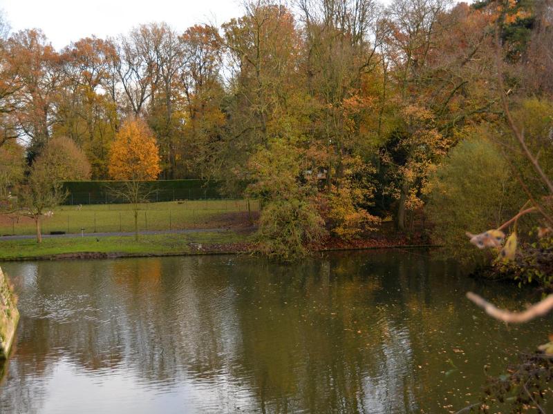 Haras Des Chartreux image