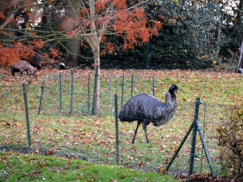 Haras Des Chartreux image