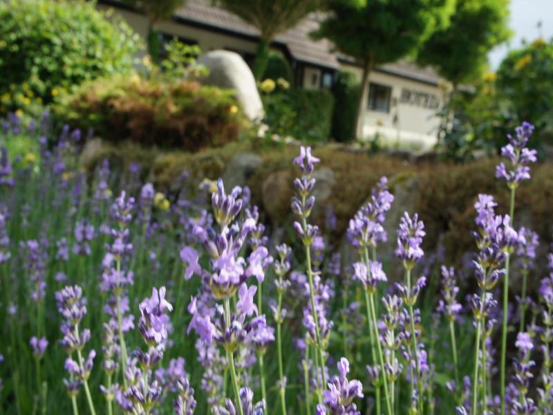 Lyng Dal Hotel Og Restaurant image