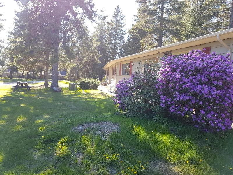 Pinecone Motel