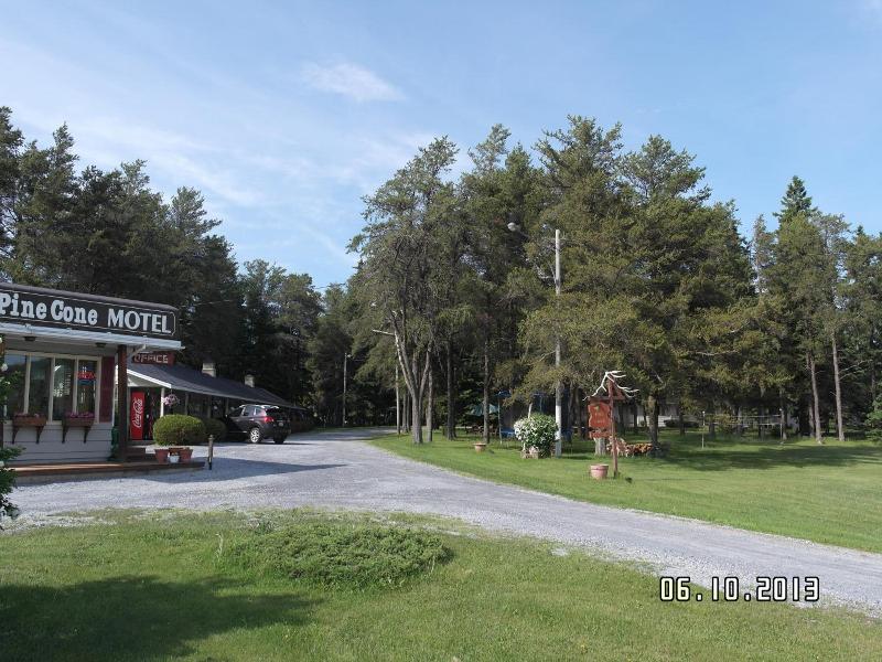 Pinecone Motel