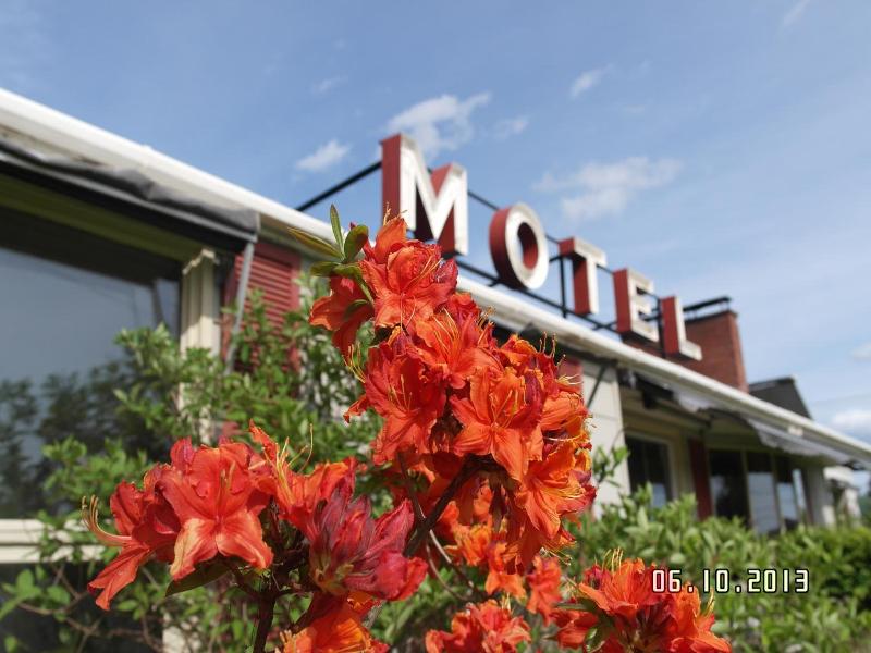 Pinecone Motel