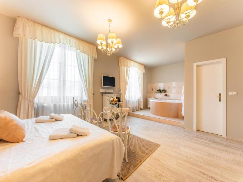 Hotel Plumlov image