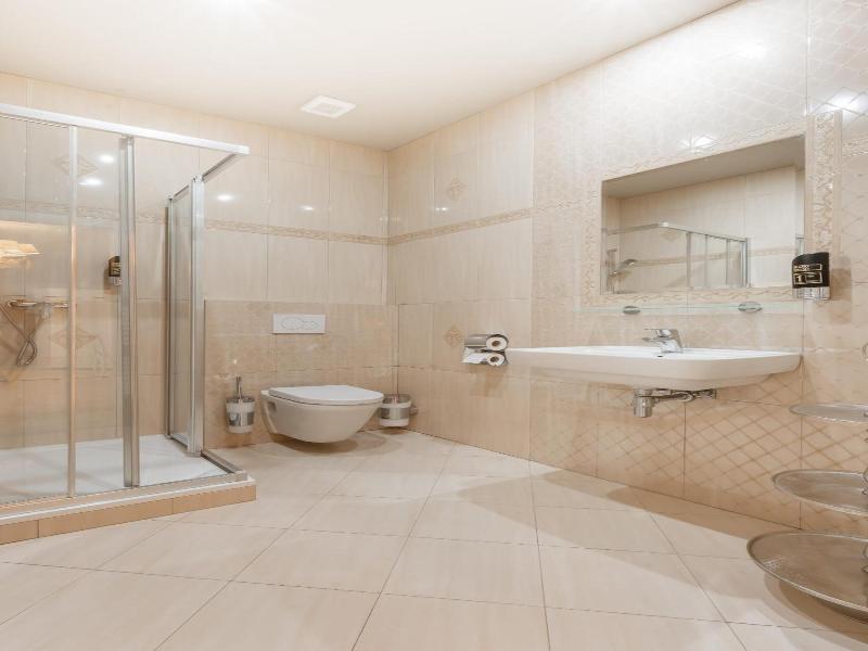 Hotel Plumlov image
