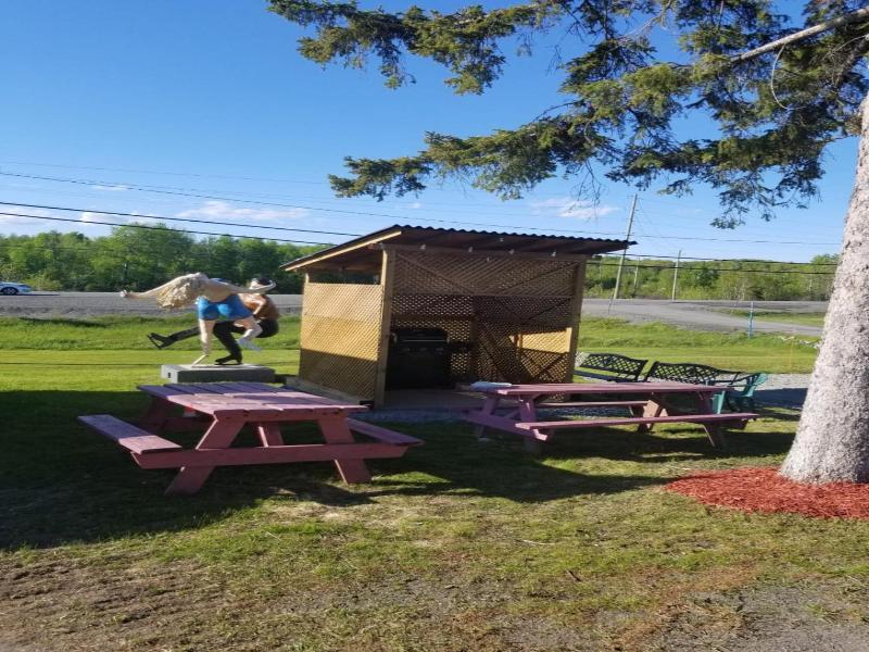 Norvic Motel image