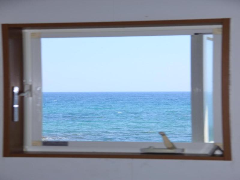Pavilionsurf&lodge image