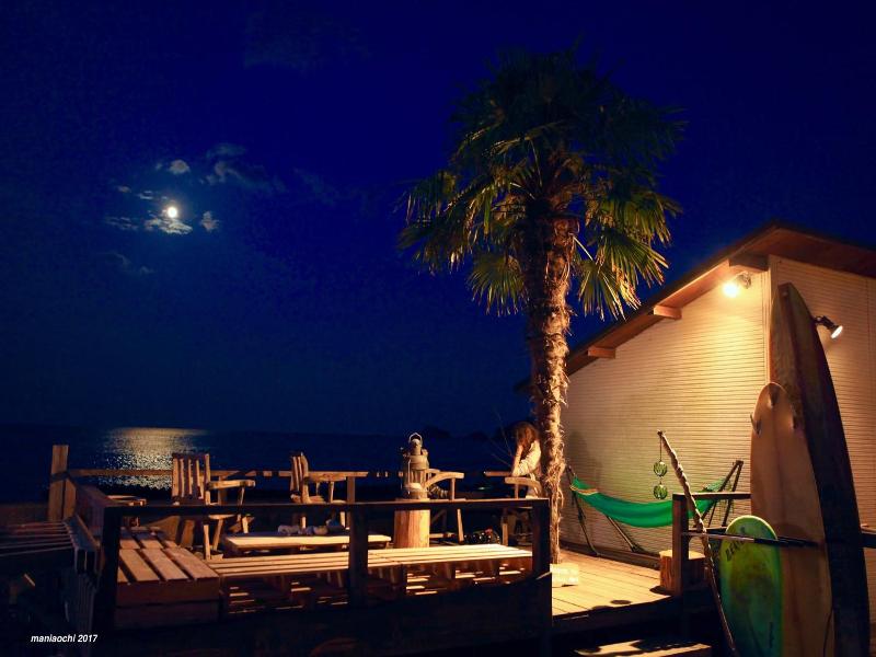 Pavilionsurf&lodge image