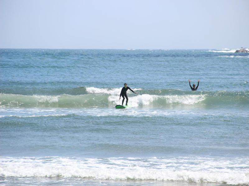 Pavilionsurf&lodge image