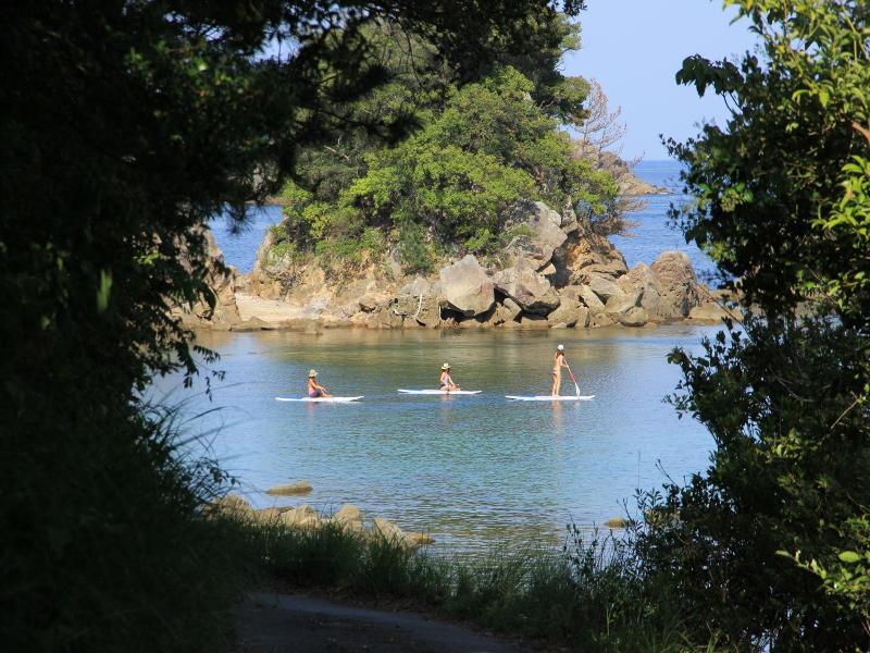Pavilionsurf&lodge image