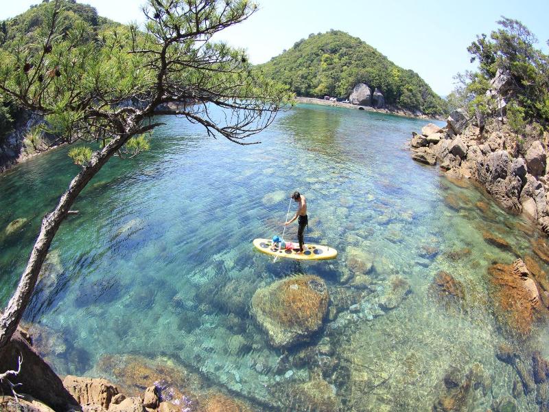 Pavilionsurf&lodge image