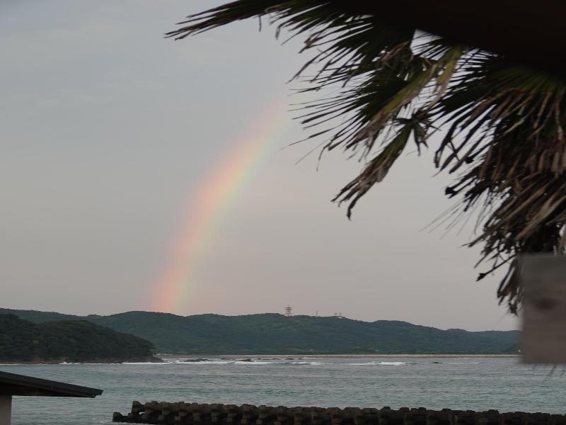 Pavilionsurf&lodge image