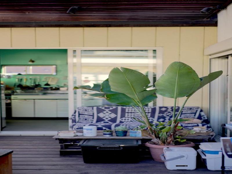 Pavilionsurf&lodge image