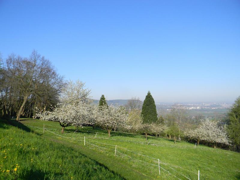 Hotel Landgut Burg image