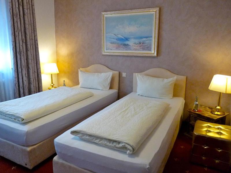 Hotel Geissler image