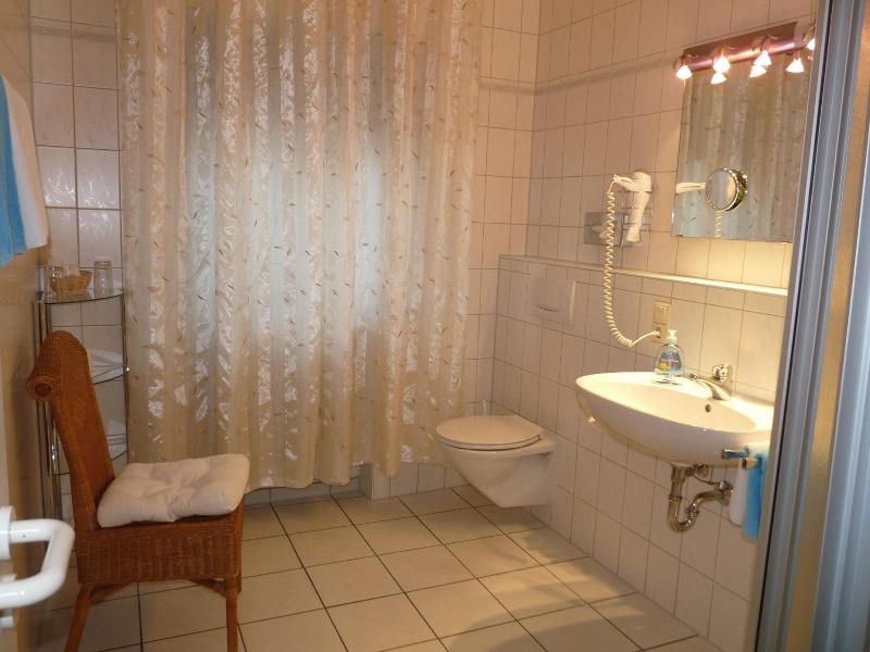 Hotel Geissler image